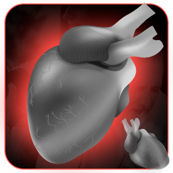 CARDIOLOGIA: Palpitação Ejaculação Precoce Disfunção
