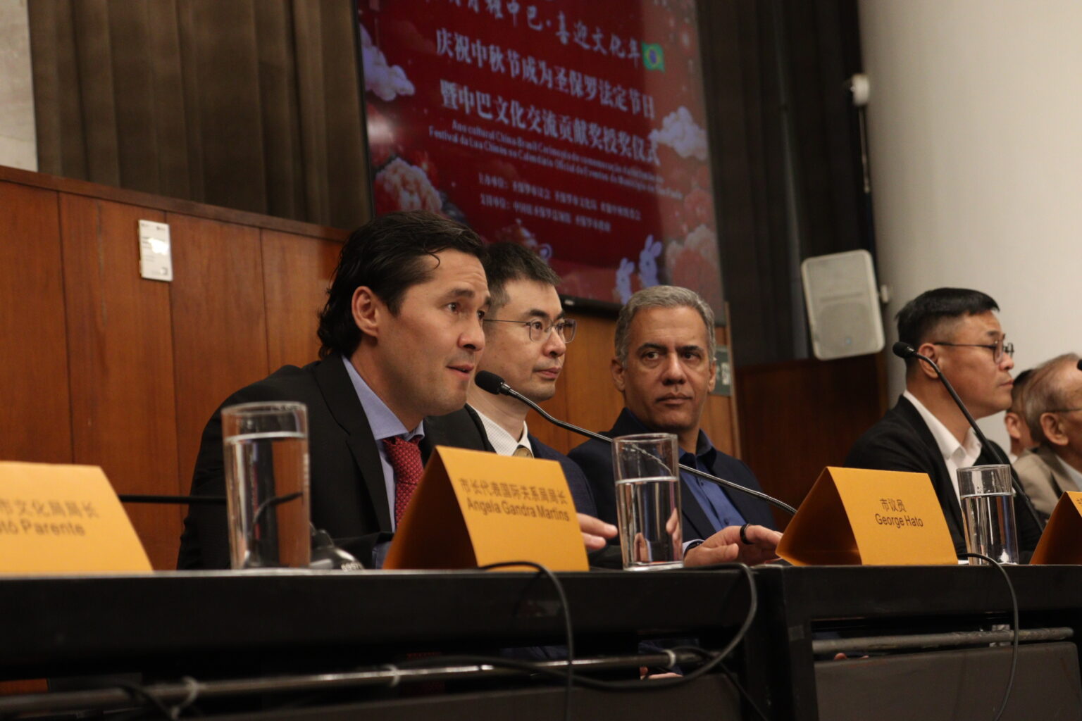 Camara-Municipal-EBRAMEC-FestivaldaLua-Acupuntura